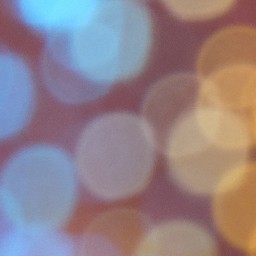 Bokeh-304